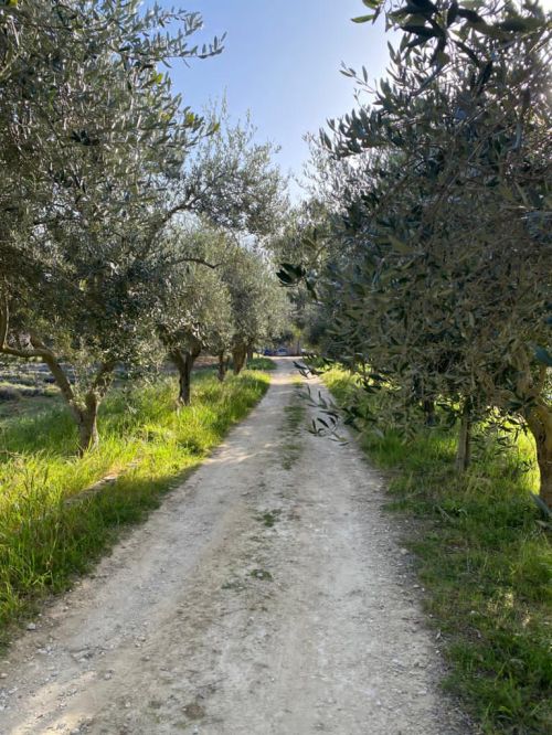 Sentiero Natura Italia TenutaTornatore